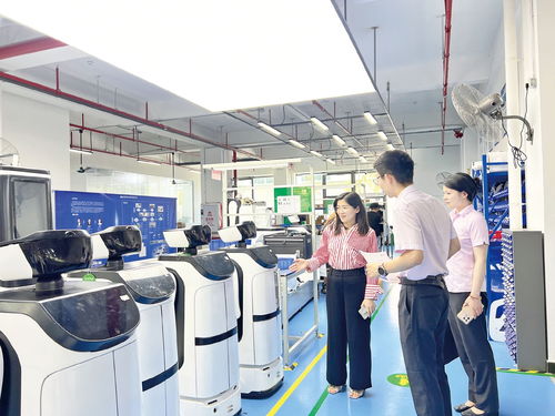 科技金融銀政直通車 計(jì)算機(jī)技術(shù)服務(wù)的創(chuàng)新與賦能