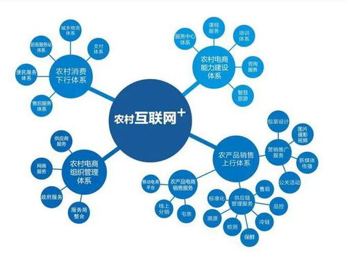 農(nóng)村電商的發(fā)展現(xiàn)狀、問(wèn)題及趨勢(shì) 計(jì)算機(jī)技術(shù)服務(wù)的機(jī)遇與挑戰(zhàn)